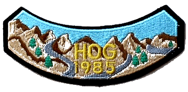 1985 hog